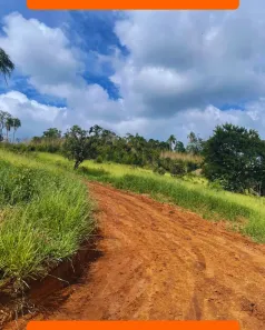 Lote/Terreno à venda, 600m² no Jundiaizinho (Terra Preta), Mairiporã
