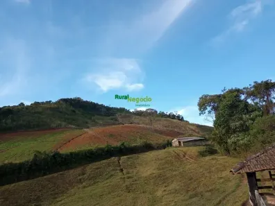 Fazenda/Sítio à venda, 71900m² no Centro, Maria da Fé