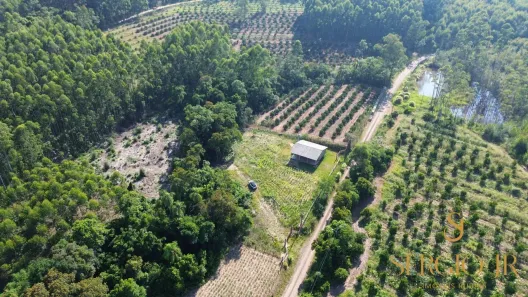 Fazenda/Sítio com 2 Quartos à venda, 5000m² no , Triunfo
