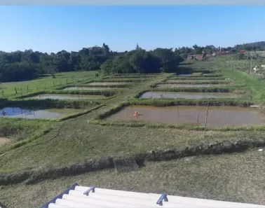 Fazenda/Sítio à venda, 40m² no , Porangaba