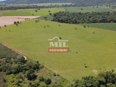 Fazenda/Sítio à venda, 500m² no , Nazário