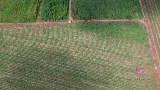 Lote/Terreno à venda, 4340m² no Vila São Guido, Pirassununga
