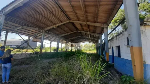 Lote/Terreno para alugar, 10000m² no Granja dos Cavaleiros, Macaé