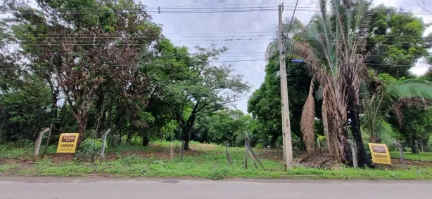 Lote/Terreno à venda, 10000m² no Chácaras São Pedro, Aparecida de Goiânia