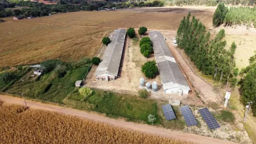 Fazenda/Sítio com 4 Quartos à venda, 18000m² no , Brasília