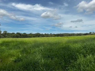 Lote/Terreno à venda, 20000m² no Boa Esperança, Curvelo
