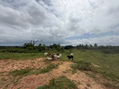 Lote/Terreno à venda, 1500m² no , Macaíba