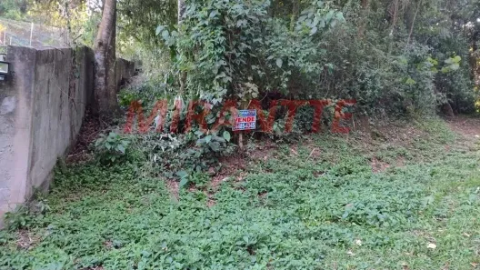 Lote/Terreno à venda, 1320m² no Caraguatá, Mairiporã