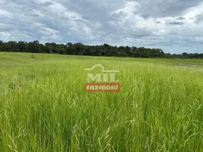 Fazenda/Sítio à venda, 1m² no , São Félix do Araguaia