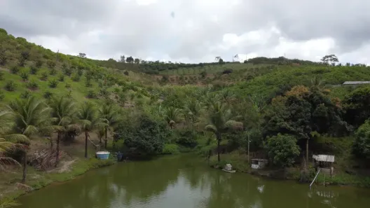 Fazenda/Sítio com 6 Quartos à venda, 81000m² no , Chã Grande