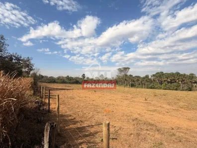 Fazenda/Sítio à venda, 1m² no Centro, Trindade