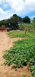 Lote/Terreno para alugar, 1680m² no Chácaras Alpina, Valinhos