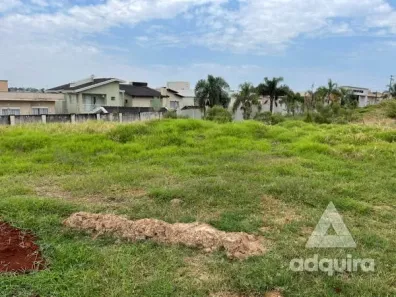Lote/Terreno à venda, 450m² no Jardim Carvalho, Ponta Grossa