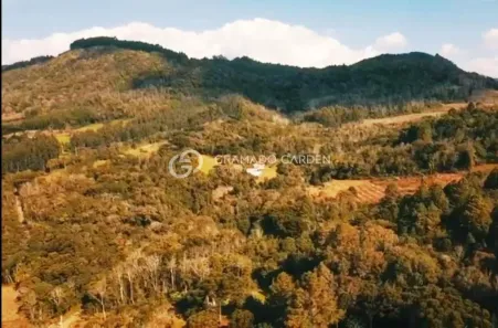 Fazenda/Sítio com 1 Quarto à venda, 5000m² no Linha Ávila Baixa, Gramado