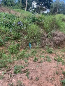 Lote/Terreno à venda, 1450m² no Jardim Niero, Louveira