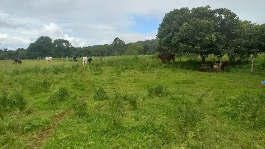 Fazenda/Sítio com 3 Quartos à venda, 190m² no Setor de Hotéis e Diversões, Brasília