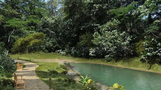 Lote/Terreno à venda, 534m² no Pitas, Cotia