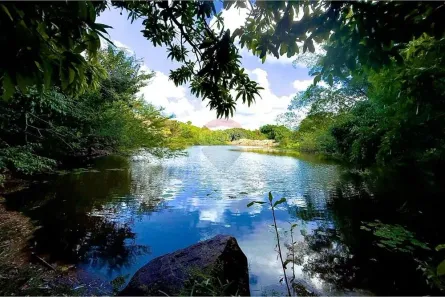 Fazenda/Sítio à venda, 81m² no Manassu, Jaboatão dos Guararapes