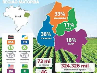 Fazenda/Sítio à venda, 500m² no , Balsas