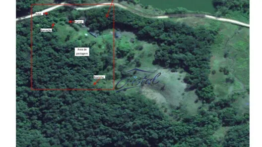Fazenda/Sítio com 2 Quartos à venda, 200m² no , Juquiá