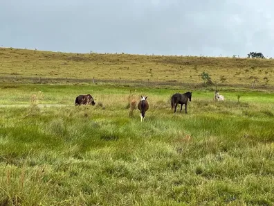 Lote/Terreno à venda, 20000m² no Zona Rural, Paraopeba