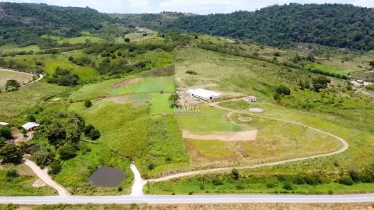 Fazenda/Sítio à venda, 170000m² no , Pombos