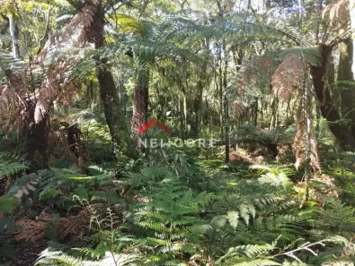 Lote/Terreno à venda, 460m² no Centro, São Francisco de Paula