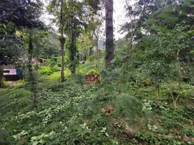 Lote/Terreno à venda, 1318m² no Maresias, São Sebastião