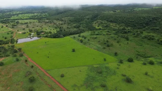 Fazenda/Sítio com 1 Quarto à venda, 17m² no Faina, Faina