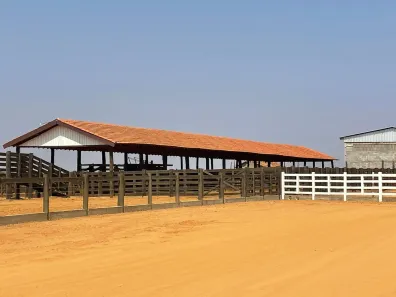Fazenda/Sítio com 10 Quartos à venda, 17762800m² no , Jussara