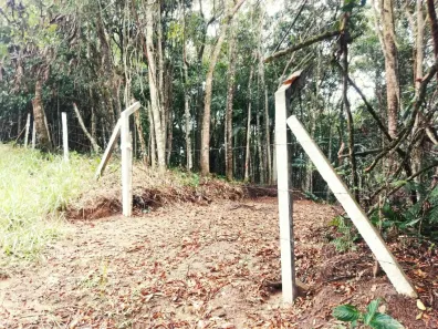 Lote/Terreno à venda, 1000m² no Taiaçupeba, Mogi das Cruzes