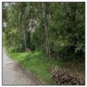 Lote/Terreno à venda, 900m² no Chã da Tábua, São Lourenço da Mata