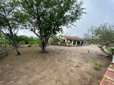Fazenda/Sítio com 3 Quartos à venda, 610000m² no , Bezerros