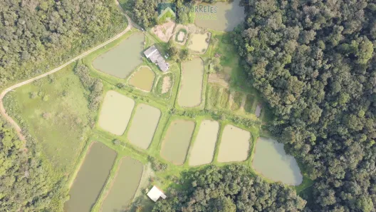 Fazenda/Sítio com 2 Quartos à venda, 159533m² no , Morretes