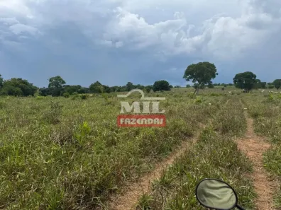 Fazenda/Sítio à venda, 500m² no , Porangatu