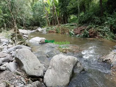 com 3 Quartos à venda, 38m² no , Bananal