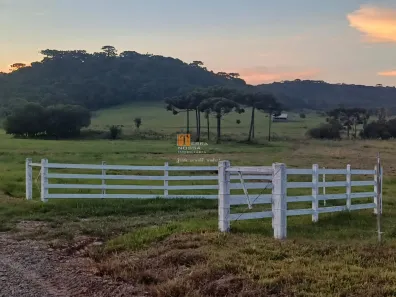 Fazenda/Sítio com 1 Quarto à venda, 20000m² no Criúva, Caxias do Sul