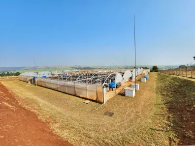 Fazenda/Sítio à venda, 133100m² no , São Simão