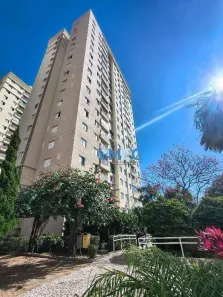 Apartamento com 3 Quartos para alugar, 64m² no Ponte Grande, Guarulhos