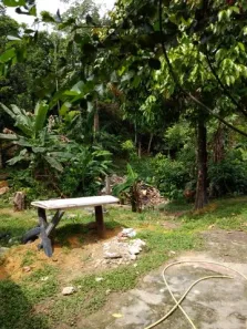 Lote/Terreno à venda, 720m² no Tarumã, Manaus