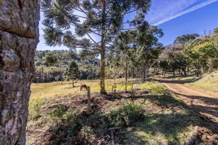 Fazenda/Sítio com 5 Quartos à venda, 3681067m² no , Tijucas do Sul