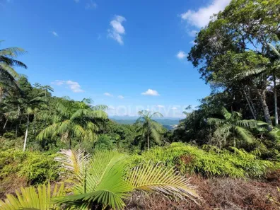 Fazenda/Sítio à venda, 9000m² no São Pedro, Guabiruba