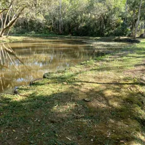Fazenda/Sítio com 3 Quartos à venda, 200m² no Sítio Represa, São Paulo
