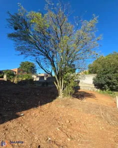 Lote/Terreno à venda, 572m² no Tristeza, Porto Alegre
