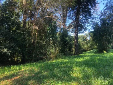 Lote/Terreno à venda, 669m² no Lomba Grande, Novo Hamburgo