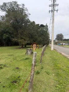 Lote/Terreno à venda, 79560m² no Área Industrial, Campina Grande do Sul