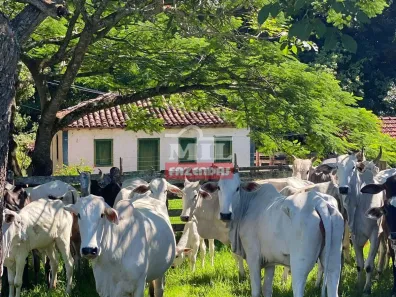 Fazenda/Sítio à venda, 500m² no , Ipameri