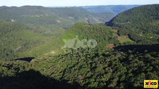 Fazenda/Sítio com 1 Quarto à venda, 5000m² no Fazenda Pirajá, Nova Petrópolis