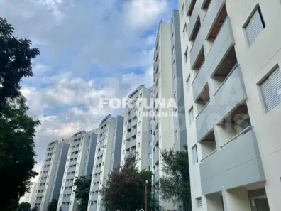 Apartamento com 2 Quartos para alugar, 66m² no Continental, Osasco