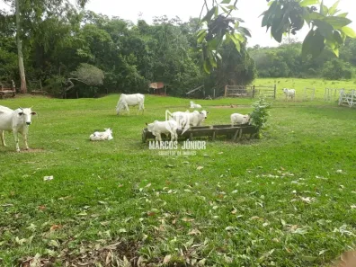 Fazenda/Sítio à venda, 999999999m² no Área Rural de Montes Claros, Montes Claros